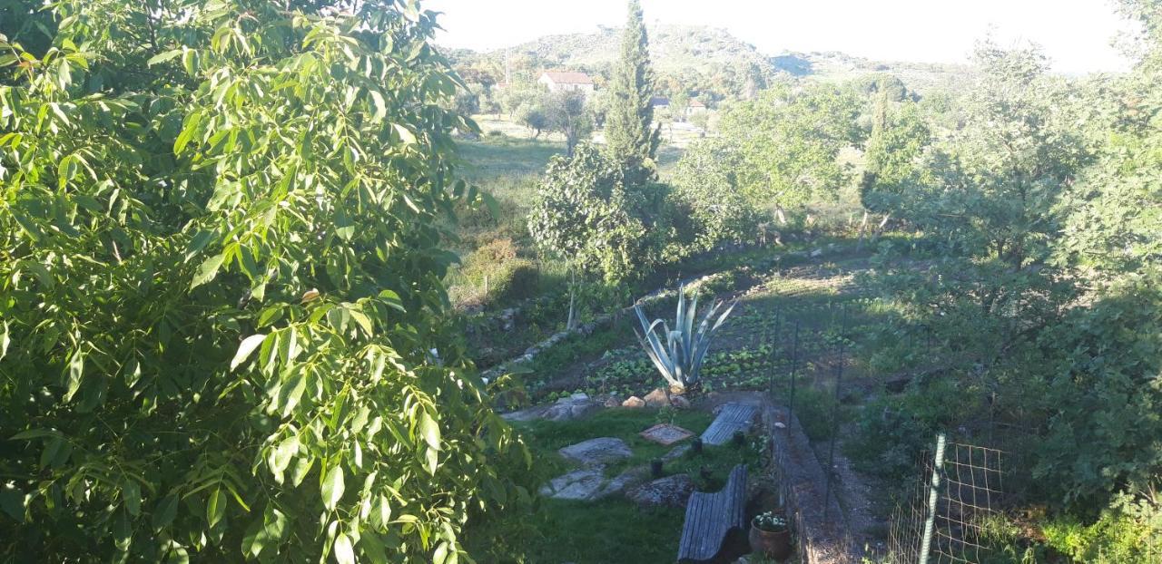 Casa Da Vizinha, Quinta Das Memorias Santo António das Areias Eksteriør billede