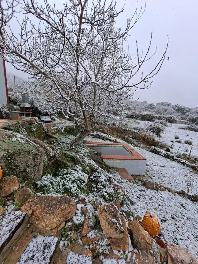 Casa Da Vizinha, Quinta Das Memorias Santo António das Areias Eksteriør billede