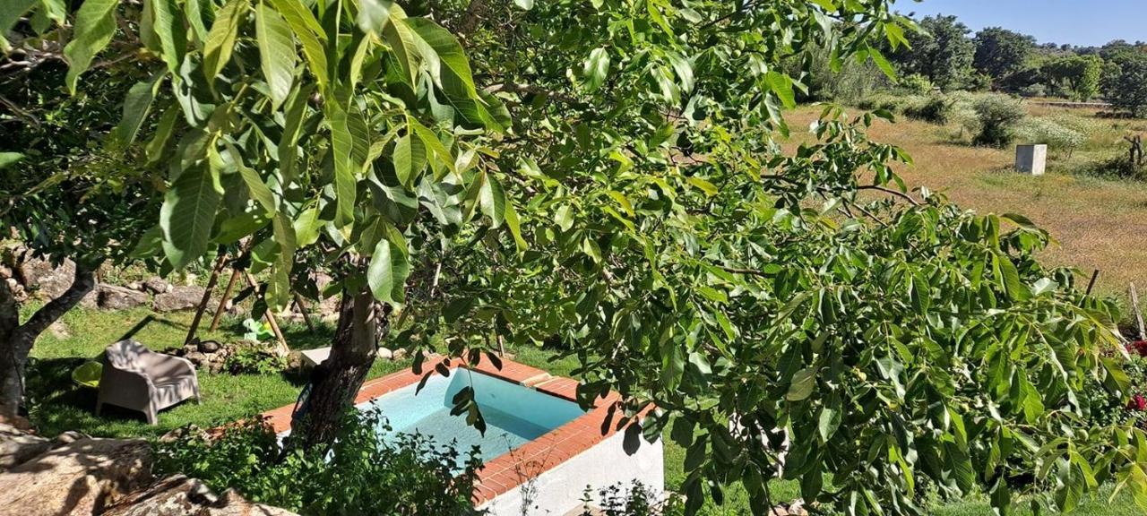 Casa Da Vizinha, Quinta Das Memorias Santo António das Areias Eksteriør billede